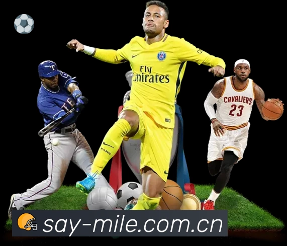 米乐体育 客户端图